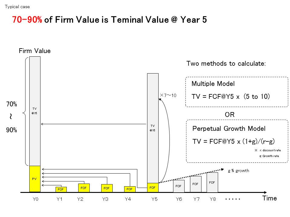 terminal_value